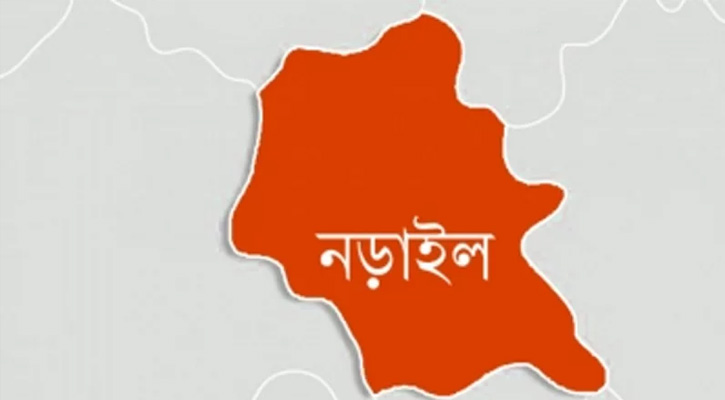 সেতুর বারের সংঘর্ষে নড়াইলে গরু ব্যবসায়ী মৃত