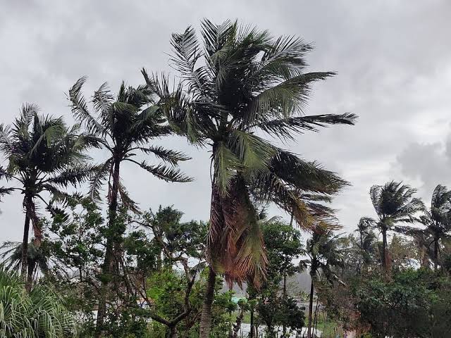 আজ থেকে গভীর নিম্নচাপের প্রভাবে দেশে বৃষ্টি বাড়তে পারে