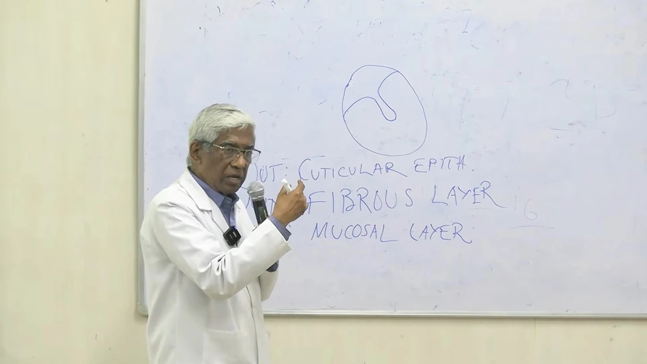 ভারতের কলেজে ক্লাস নেওয়ার ভিডিও ছড়াল, আলোচনায় অধ্যাপক প্রাণ গোপাল দত্ত