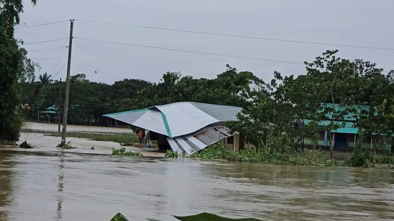 নেত্রকোণার পাহাড়ি ঢলে কলমাকান্দা জর্জরিত, গজারমারী বিদ্যালয় নদীগর্ভে