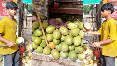 ব্রাহ্মণবাড়িয়ায় ডাবের বাজার সচল, চাহিদা সারাবছর