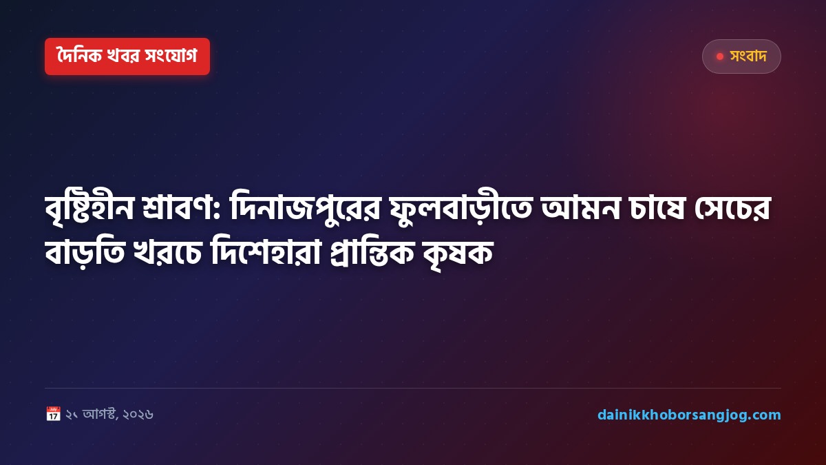 বৃষ্টিহীন শ্রাবণ: দিনাজপুরের ফুলবাড়ীতে আমন চাষে সেচের বাড়তি খরচে দিশেহারা প্রান্তিক কৃষক