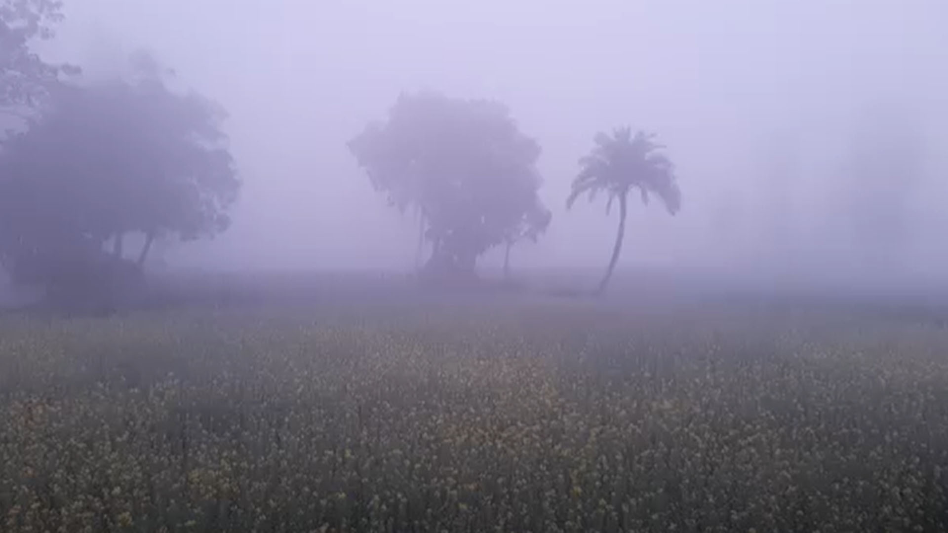 তীব্র শৈত্যপ্রবাহ: সিরাজগঞ্জে সব শিক্ষাপ্রতিষ্ঠান বন্ধের নির্দেশ